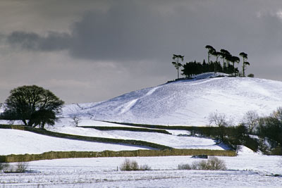 7086_Lady-Hill-in-Winter